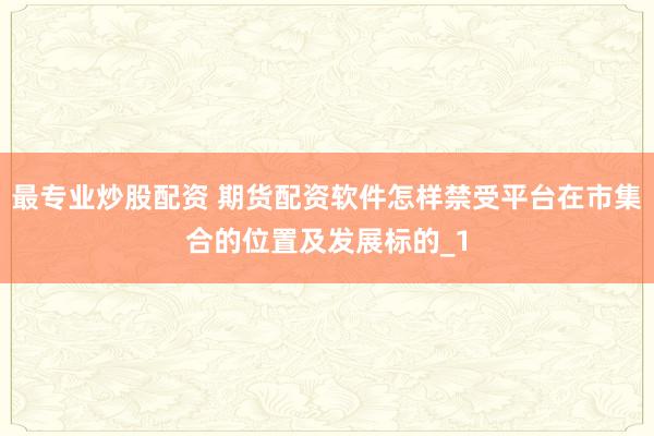 最专业炒股配资 期货配资软件怎样禁受平台在市集合的位置及发展标的_1