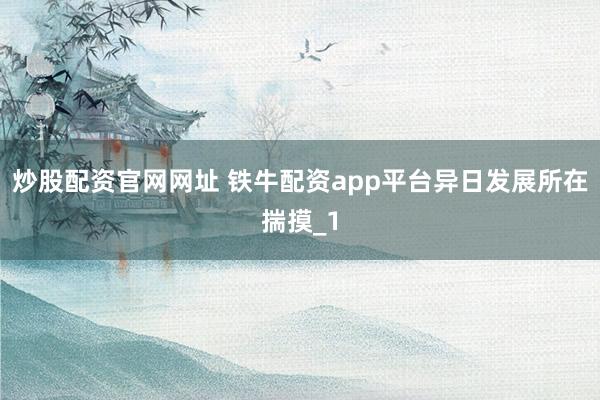 炒股配资官网网址 铁牛配资app平台异日发展所在揣摸_1